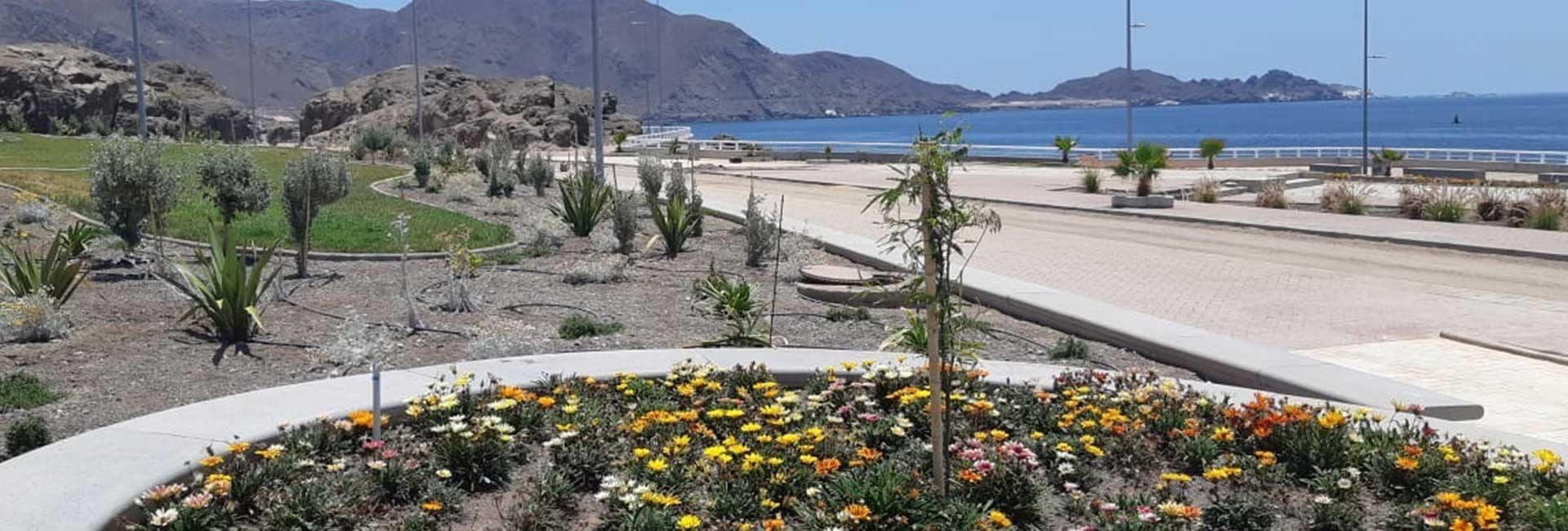 Paisajismo